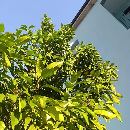 Sidera Comodo E Luminoso Loft Centro Paese E - Di Loft Accogliente E Curato *