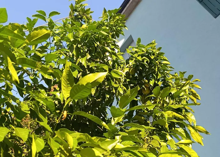 Sidera Comodo E Luminoso Loft Centro Paese E - Di Loft Accogliente E Curato *